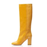 Arden Furtado Fashion Women's Shoes Winter Pointed Toe chunky Heels yellow Leather Slip-on Sexy Elegant Ladies knee high boots