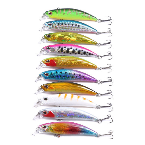 5pcs Hard Minnow Baits, Fishing Crank Lure Set, 3.8g/4.5cm Minnow Bait with  Steel Ball Spoiler Fishing Tackle for Seawater Freshwater 5PCS