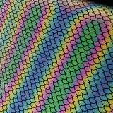 4-Way Stretch Rainbow Reflective Mushroom Fabric,Iridescent Rainbow Fabric By the Yards