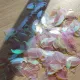 Wholesale 500pcs Plastic Iridescent Transparent Pink Dragon Scale,ScaleMaille,Scale Mail Armor,Chainmaille,Mermaid Scale,Scale Maille Supplies