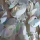 Wholesale 500pcs Plastic Holographic Dragon Scale,ScaleMaille,Scale Mail Armor,Chainmaille,Mermaid Scale,Scale Maille Supplies