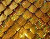 wholesale 500pcs Plastic Holographic Gold Dragon Scale,ScaleMaille,Scale Mail Armor,Chainmaille,Mermaid Scale,Scale Maille Supplies
