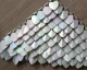 wholesale 500pcs Plastic Iridescent Dragon Scale,ScaleMaille,Scale Mail Armor,Chainmaille,Mermaid Scale,Scale Maille Supplies
