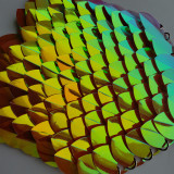 wholesale 500pcs Large Size Plastic Iridescent Dragon Scale,ScaleMaille,Scale Mail Armor,Chainmaille,Mermaid Scale,Scale Maille Supplies