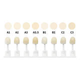 1 Syringe Dental 4g Enamel Light Cure Composite Resin Shade A3