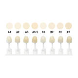 DX.Esthetic nano hybrid light cure composite Resin Dentin Shade 4g A3