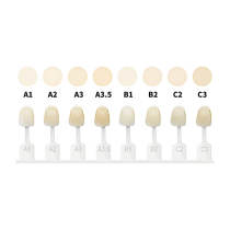 DX.Esthetic nano hybrid light cure composite Resin Dentin Shade 4g A3.5