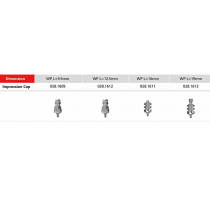 Straumann Compatible Dental TL WP Octa Impression Cap