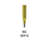 Straumann Compatible Temporary Abutment Bridge GH=2