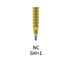 Straumann Compatible Temporary Abutment Crown GH=1