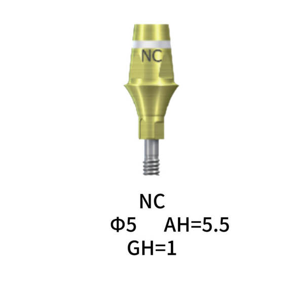 Straumann Compatible NC Cementable Abutment Φ5.5 AH4 GH1