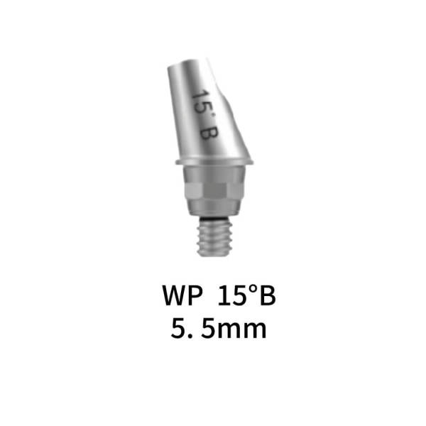 Straumann Compatible Angled Abutment 15° WP OCT 5.5mm B