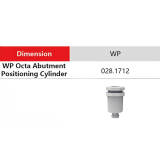 Straumann Compatible Dental WP Octa Impression Cap Closed Tray TL