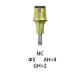 Straumann Compatible NC Cementable Abutment Φ5 AH4 GH2