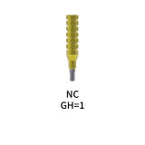 Straumann Compatible Temporary Abutment Bridge GH=1