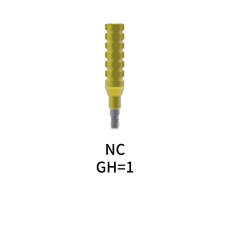 Straumann Compatible Temporary Abutment Bridge GH=1