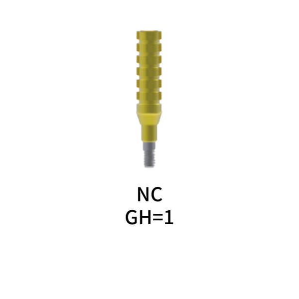 Straumann Compatible Temporary Abutment Bridge GH=1