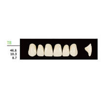 16 cards Dental Synthetic Polymer Resin False Teeth Denture T8  Square Anteriors Upper 6pcs/card