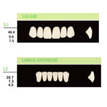 4 Sets Dental Synthetic Polymer Resin False Teeth Denture 28pcs/set S2 L2 30