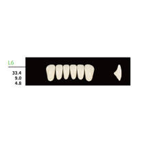 16 cards Dental Synthetic Polymer Resin False Teeth Denture L6  Square Anteriors Lower 6pcs/card