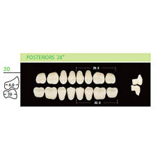 12 cards Dental Synthetic Polymer Resin False Teeth Denture 30L Lower Posteriors 28° 8pcs/card