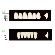4 Sets Dental Synthetic Polymer Resin False Teeth Denture 28pcs/set S8 L8 34