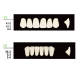 4 Sets Dental Synthetic Polymer Resin False Teeth Denture 28pcs/set S8 L8 34