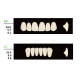 4 Sets Dental Synthetic Polymer Resin False Teeth Denture 28pcs/set S6 L6 32