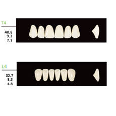 4 Sets Dental Synthetic Polymer Resin False Teeth Denture 28pcs/set T4 L4 30