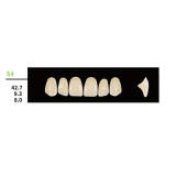 16 cards Dental Synthetic Polymer Resin False Teeth Denture S4  Square Anteriors Upper 6pcs/card
