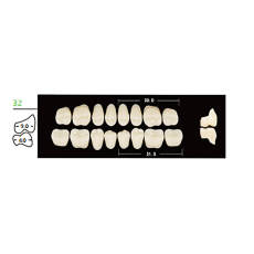 12 cards Dental Synthetic Polymer Resin False Teeth Denture 32U Upper Posteriors 28° 8pcs/card