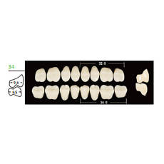 12 cards Dental Synthetic Polymer Resin False Teeth Denture 34L Lower Posteriors 28° 8pcs/card
