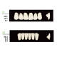 4 Sets Dental Synthetic Polymer Resin False Teeth Denture 28pcs/set T8 L8 34