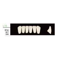 16 cards Dental Synthetic Polymer Resin False Teeth Denture L10  Square Anteriors Lower 6pcs/card
