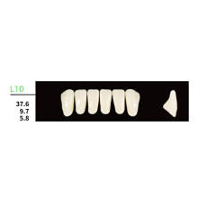 16 cards Dental Synthetic Polymer Resin False Teeth Denture L10  Square Anteriors Lower 6pcs/card
