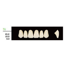 16 cards Dental Synthetic Polymer Resin False Teeth Denture T6  Square Anteriors Upper 6pcs/card