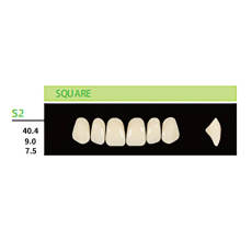 16 cards Dental Synthetic Polymer Resin False Teeth Denture S2  Square Anteriors Upper 6pcs/card