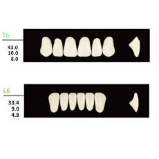 4 Sets Dental Synthetic Polymer Resin False Teeth Denture 28pcs/set T6 L6 32