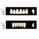 4 Sets Dental Synthetic Polymer Resin False Teeth Denture 28pcs/set T6 L6 32