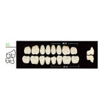 12 cards Dental Synthetic Polymer Resin False Teeth Denture 32L Lower Posteriors 28° 8pcs/card