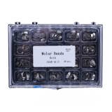 1 box 80pcs/Box Dental Orthodontic Bands 32-41+# With Buccal tube Roth 022 U1/L1