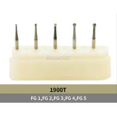 5PCS/KIT Dental Tungsten carbide burs of Ball shape Assorted in FG shank Kit