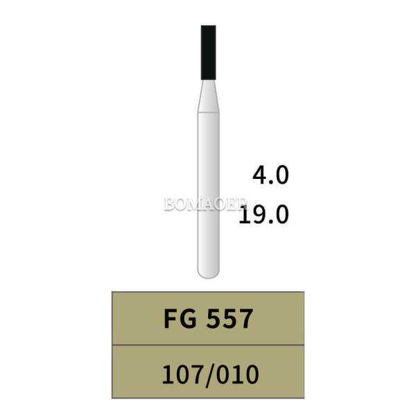 10pcs Dental Tungsten Carbide Bur Cylinder 107/010 High speed Prepare FG557 19MM
