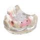 Mandibular syndrome model / Dental teaching patient communication model / Dental material accessories