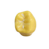 Pit and Fissure Sealant Practice Tooth, 1 Pc