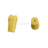 Pit and Fissure Sealant Practice Tooth, 1 Pc