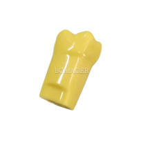 Pit and Fissure Sealant Practice Tooth, 1 Pc