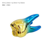 Laser Colorful Teeth ZYR-5046 Small Color Teeth