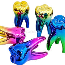 Laser Large Colorful Teeth ZYR-5046 Large Color Teeth