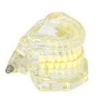 Standard Model Inclined Plate Yellow M7002